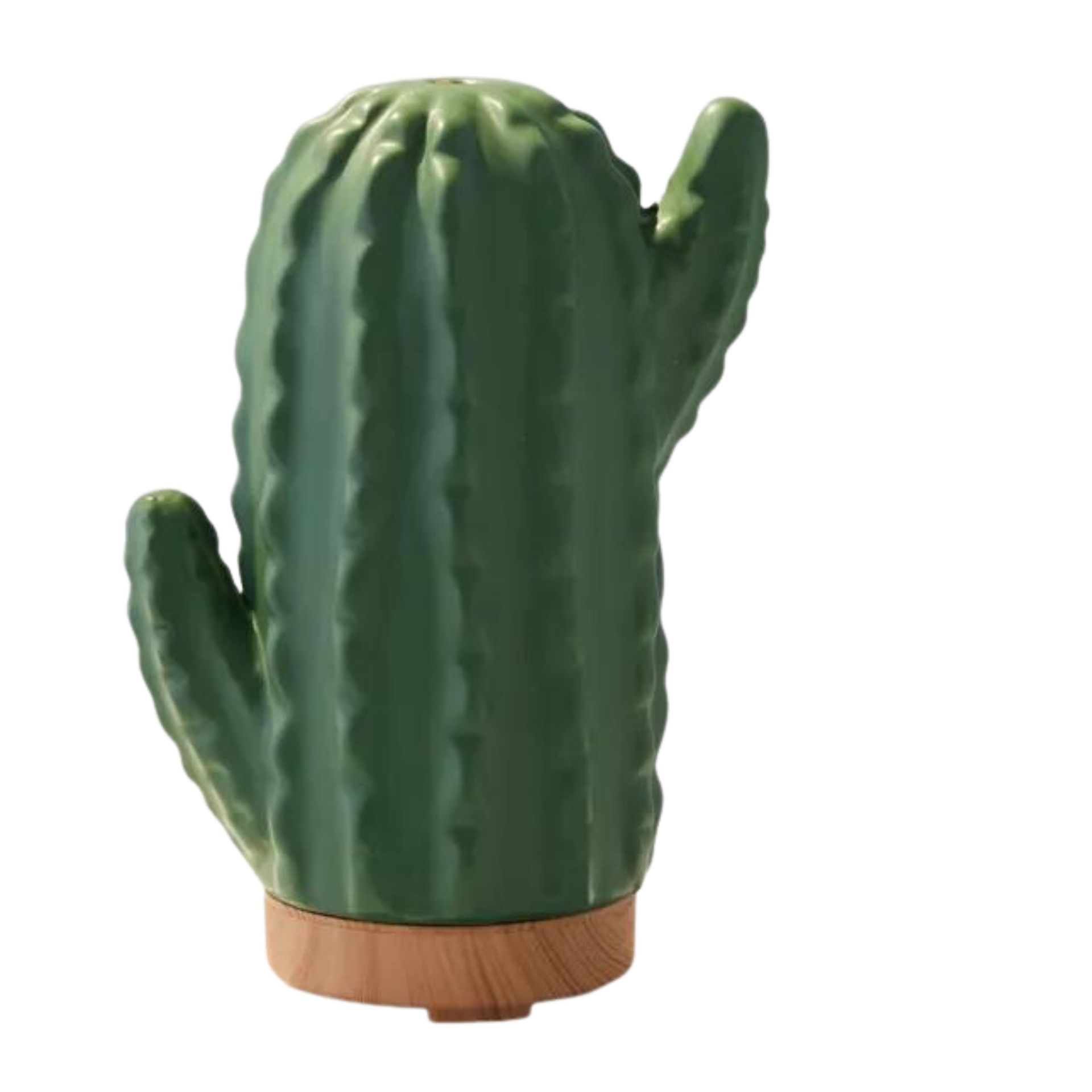Diffuser minyak esensial elektrik oleh Cactus