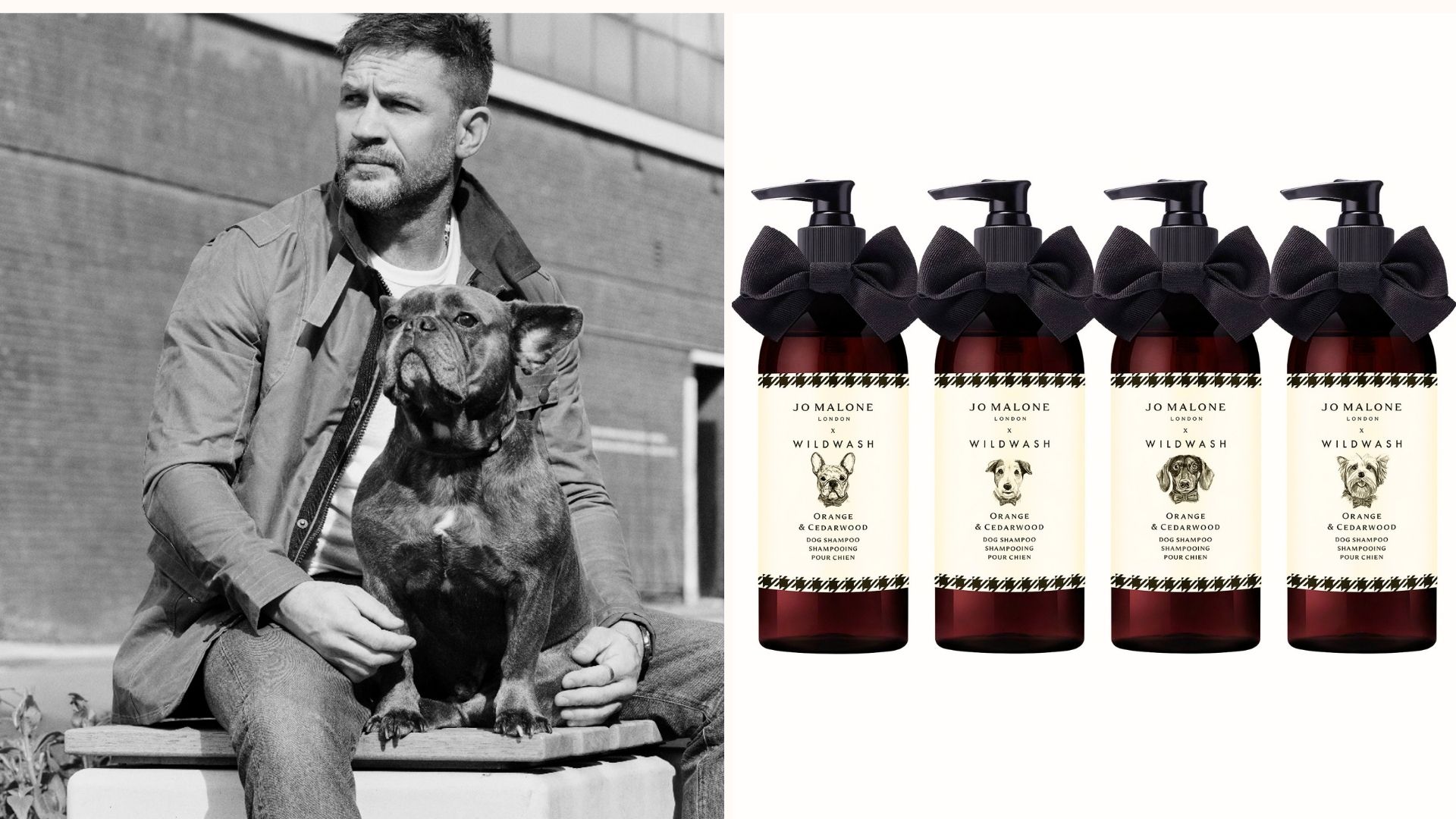 Tom Hardy Jo Malone dog shampoo