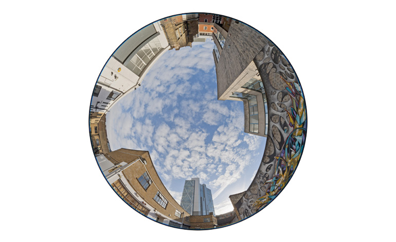 Newman's 180-degree view of the PayneShurvell gallery