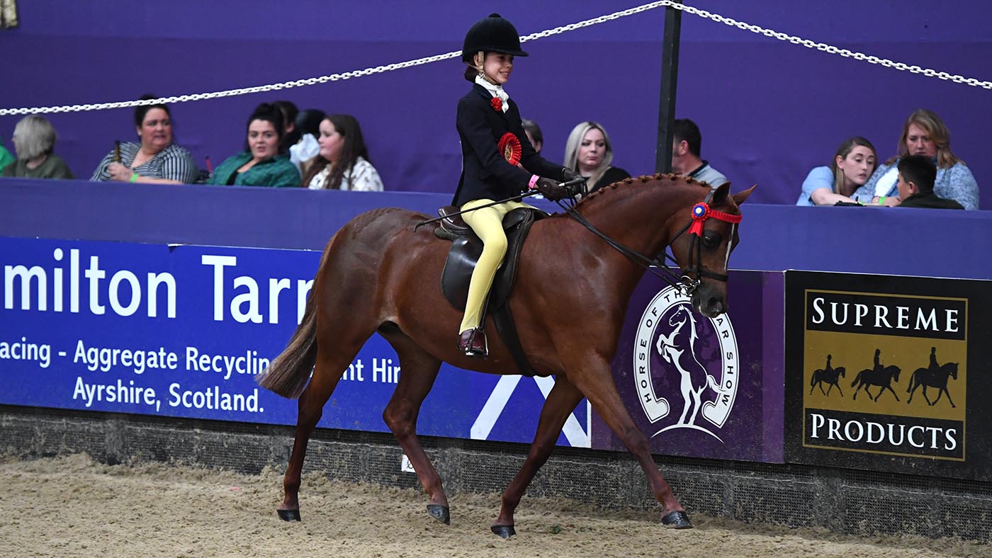 HOYS 128cm childrens riding pony winner Kellythorpe Tiny Dancer (Gillie) ridden by Cate Kerr
