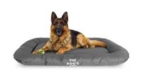 Best dog bed: A german shepherd lying on the Dog's Bed Premium