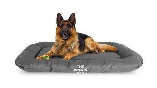 A german shepherd lying on the Dog's Bed Premium dog bed