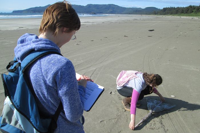 COASST interns size up a plastic bag which can be a hazard for sea turtles