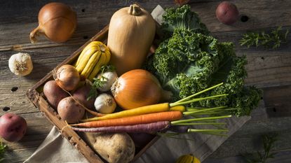 A basket of harvested fall vegetables 