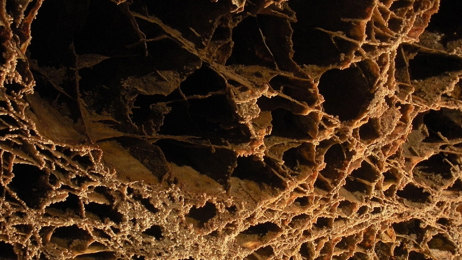 A close-up image of boxwork in a cave on Earth