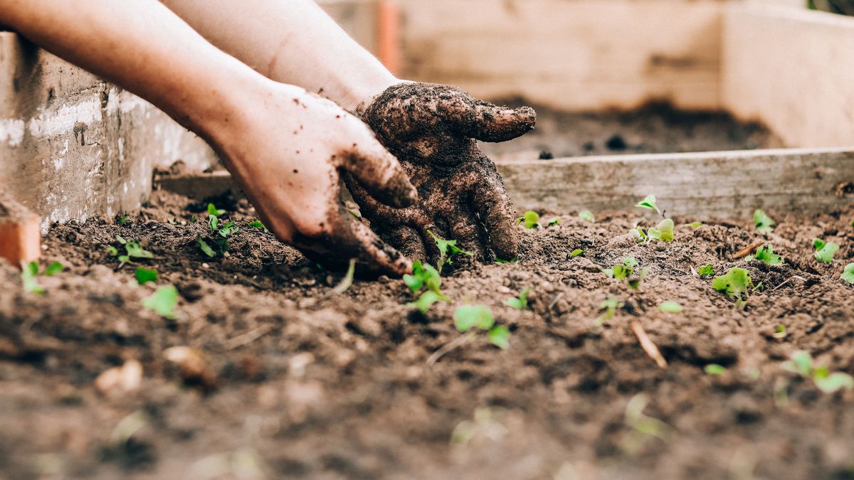 How Much Topsoil Do I Need For My Garden Project? Homebuilding