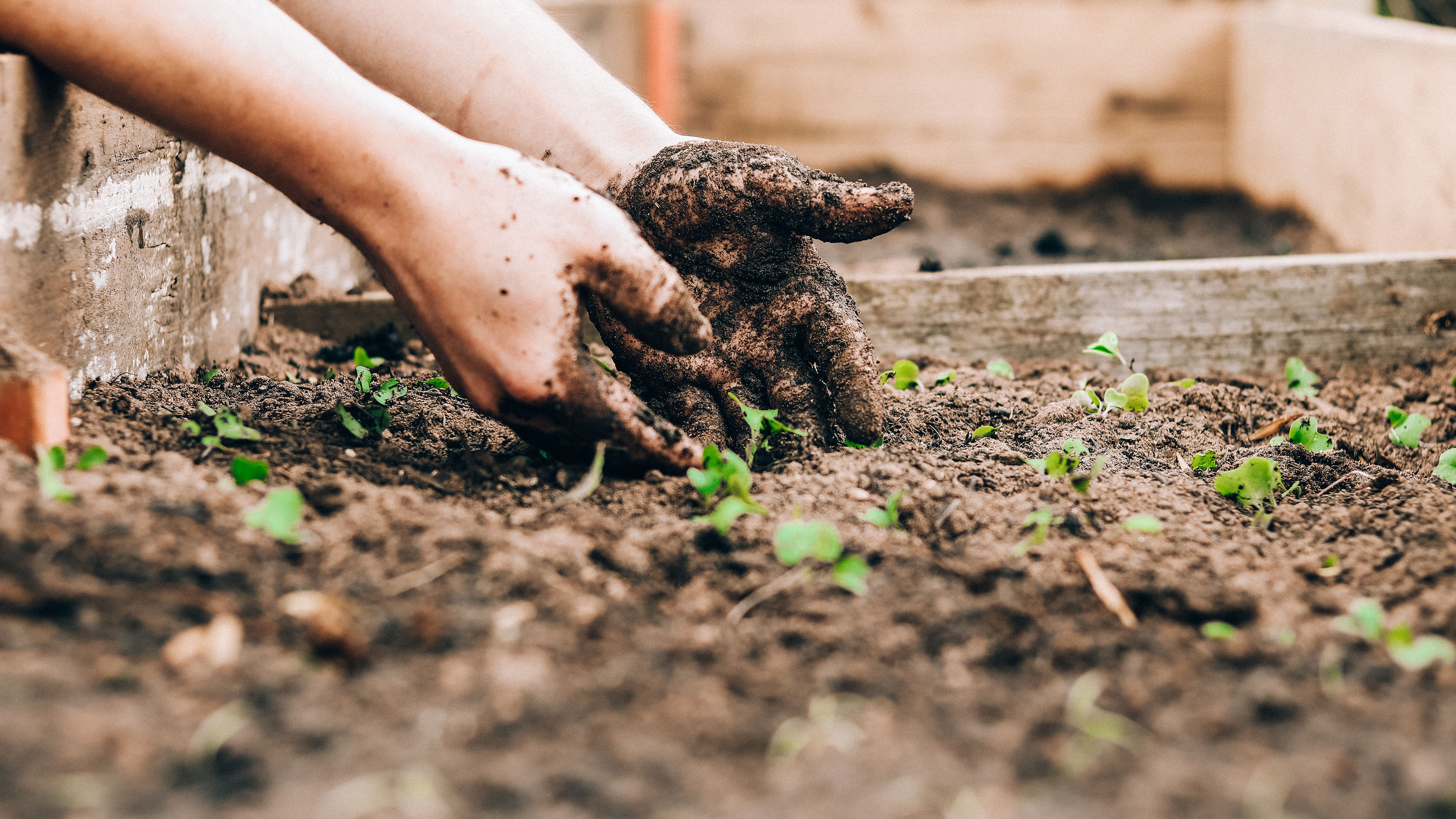 A number of factors will influence the recommended depth of imported topsoil