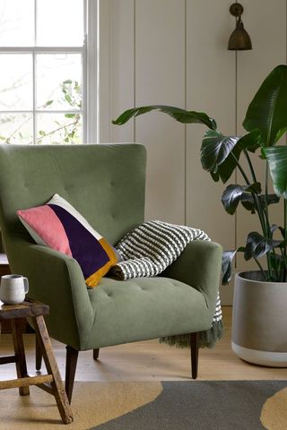 green armchair with large bird of paradise plant