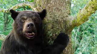 The Bear in Cocaine Bear climbing a tree.