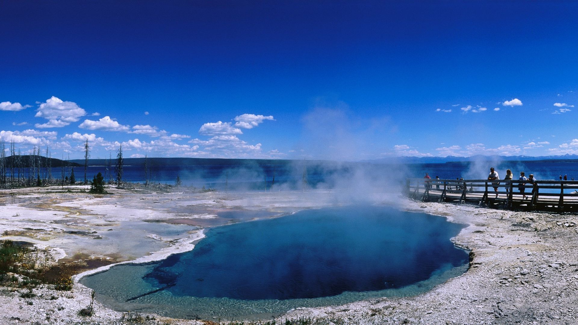 The grisly mystery of Yellowstone's floating foot has finally been ...