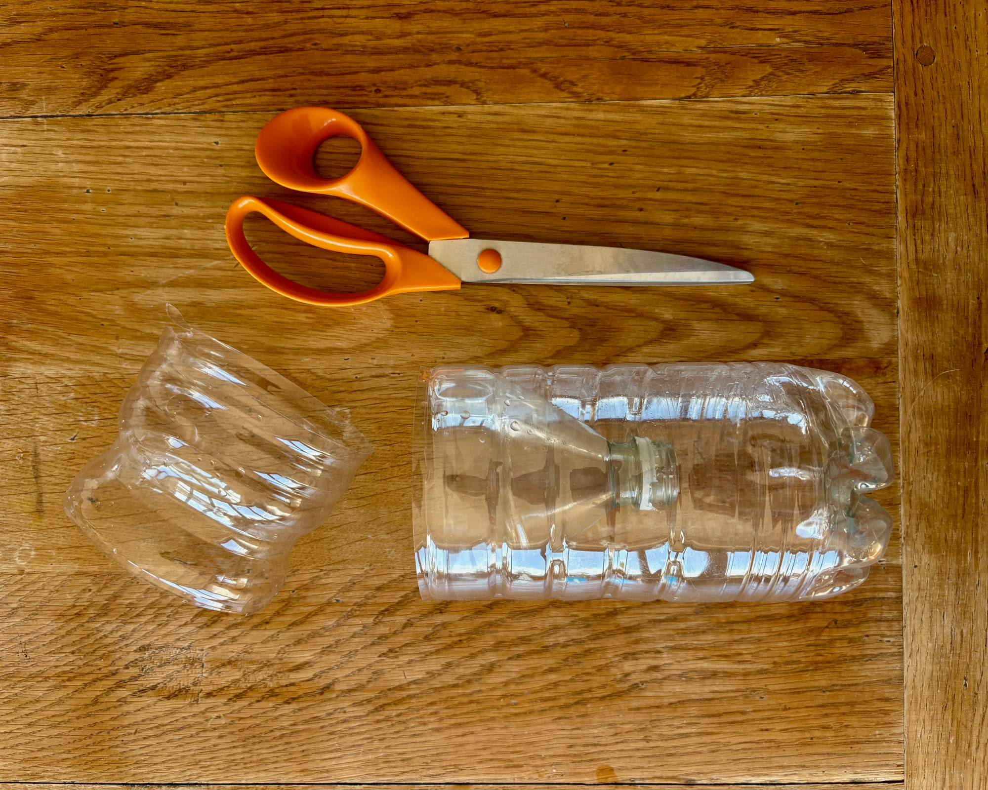 plastic bottle being upcycled into a mosquito trap, cutting the bottle in half