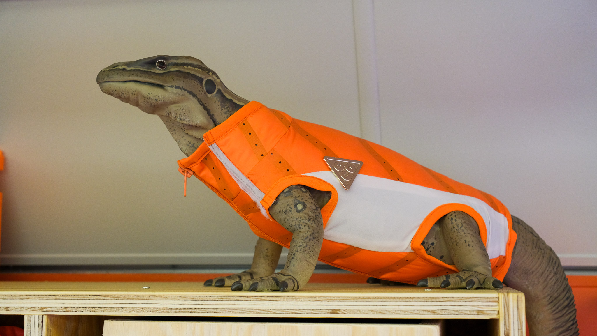 Nike All Conditions Express