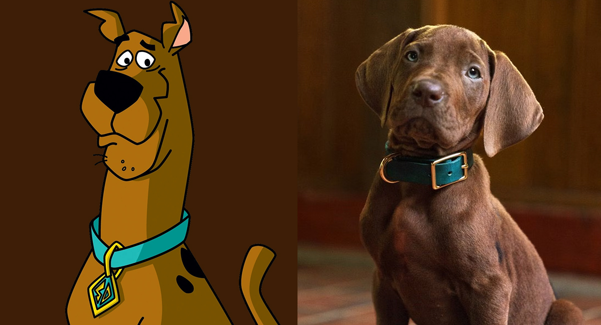 The original Scooby-Doo cartoon character design beside the Netflix live-action Scooby-Doo character
