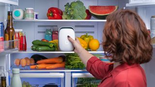 Vitesy Shelfy new model