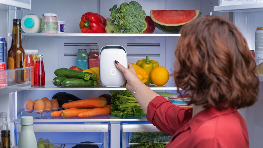 Vitesy Shelfy new model