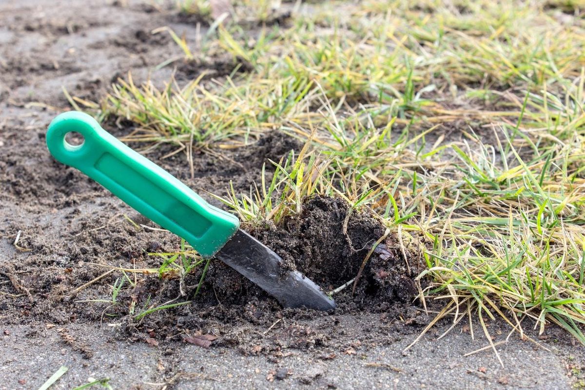 When To Use A Garden Knife Tips On How To Use A Garden Knife Safely