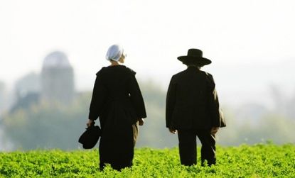 Ohio's "Amish Madoff"