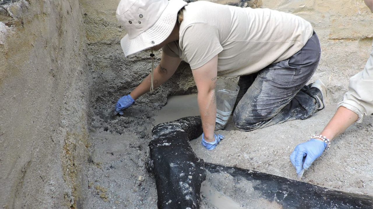 The excavation team uncovering the wooden structure.