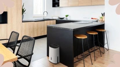 Contemporary wood and matt black kitchen with a dehumidifier on the floor ready to demonstrate how to clean a dehumidifier in five easy steps 