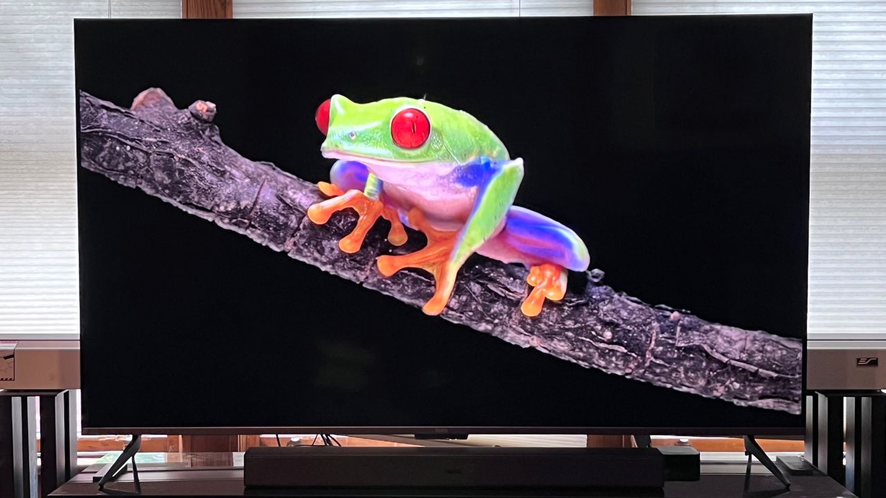 Roku Plus Series TV showing frog onscren
