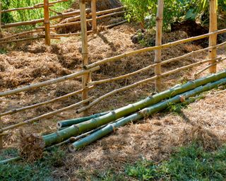 Diverse strutture per giardinaggio verticale in un giardino, inclusi tralicci e fioriere a parete.
