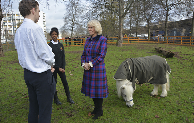 Ebony Horse Club