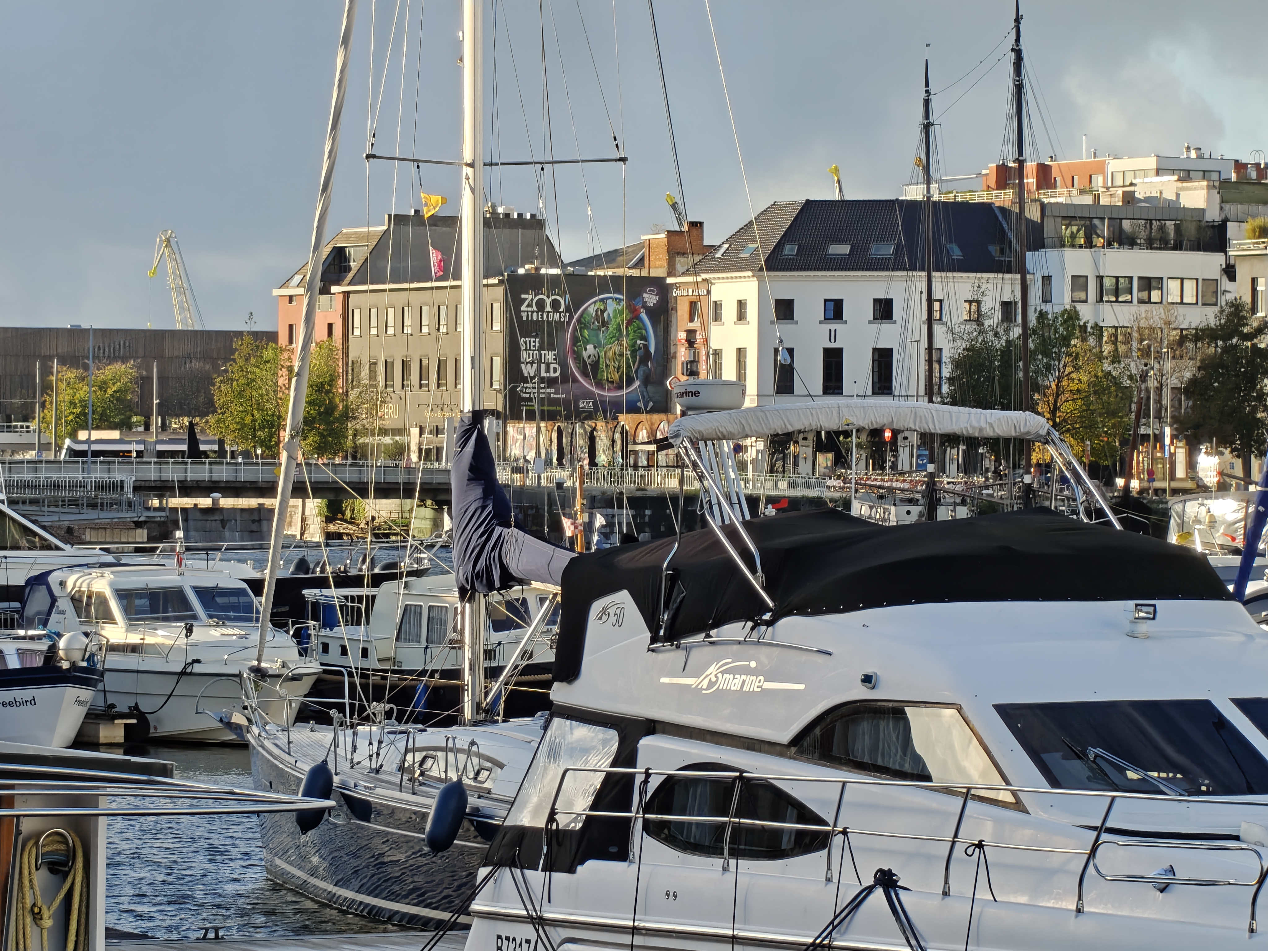 OnePlus 15 voorbeeldfoto