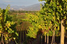 Chile - South America