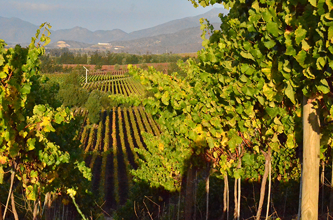 Chile - South America