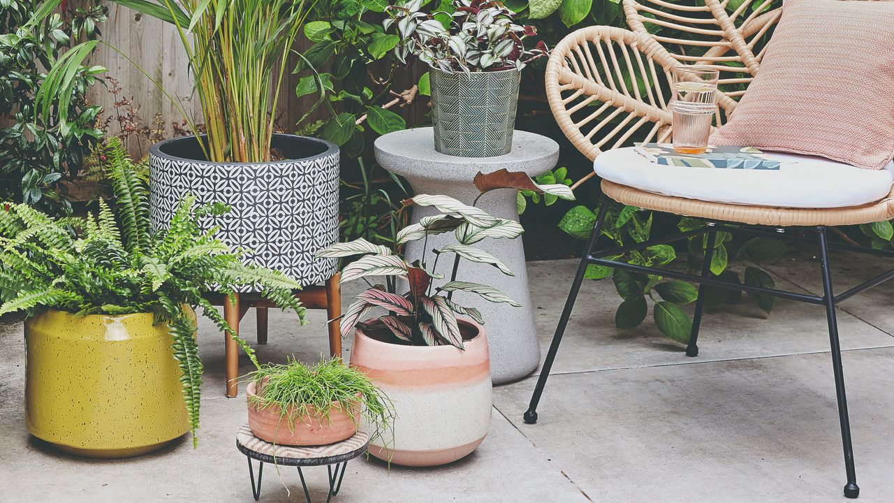 Garden with potted plants