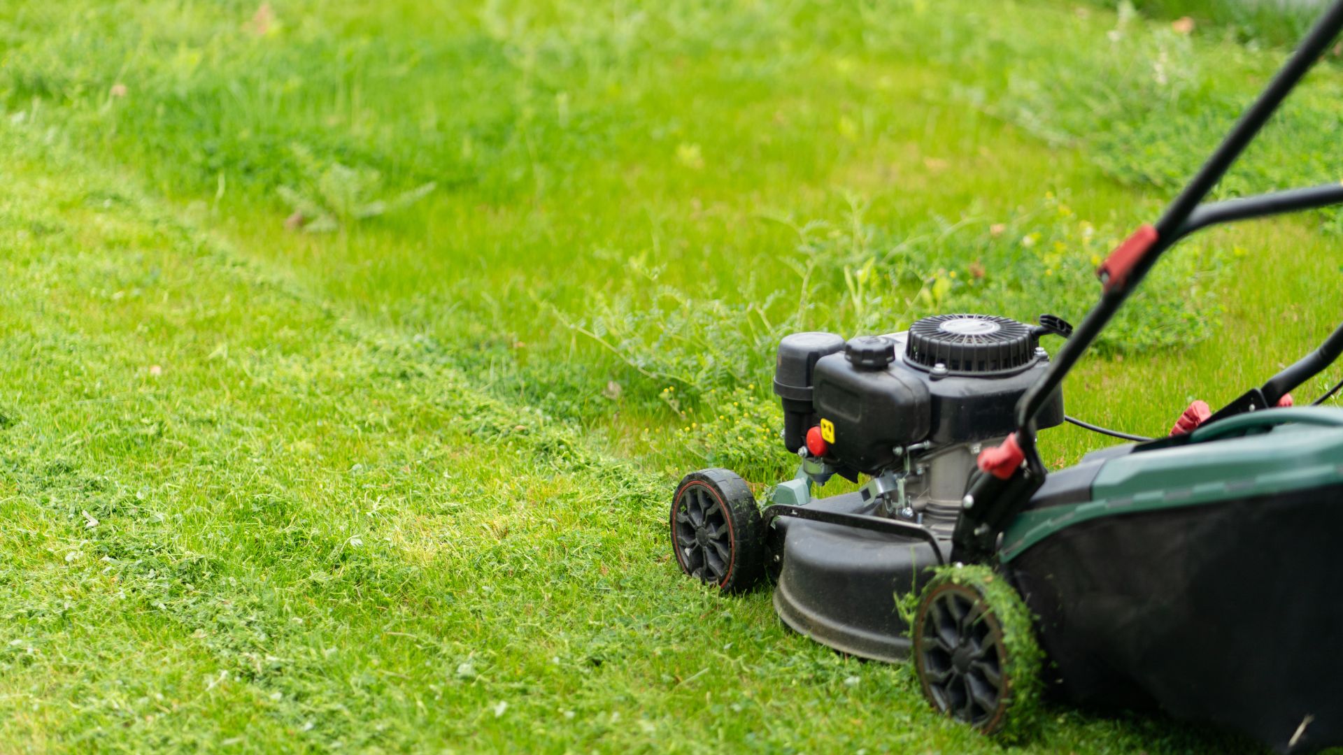 picture of lawn mower cutting grass short in garden
