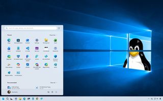 Windows 11 and Linux