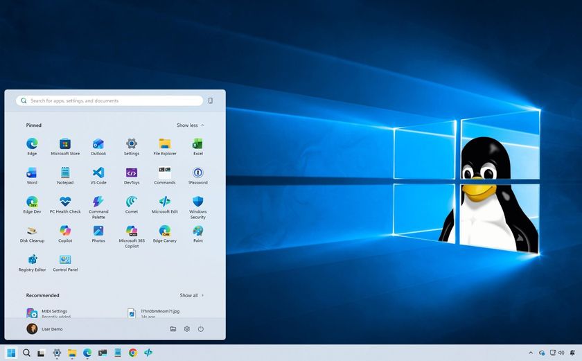 Windows 11 and Linux