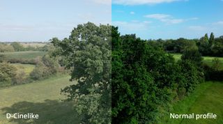 Aerial image with flat and standard color profile comparisons