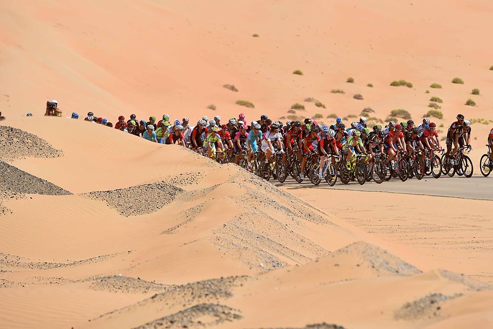 Abu Dhabi Tour