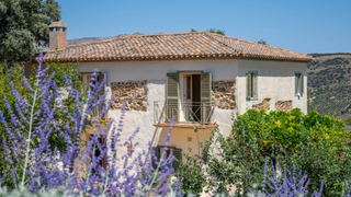 Finca in Andalusia set in mature garden.