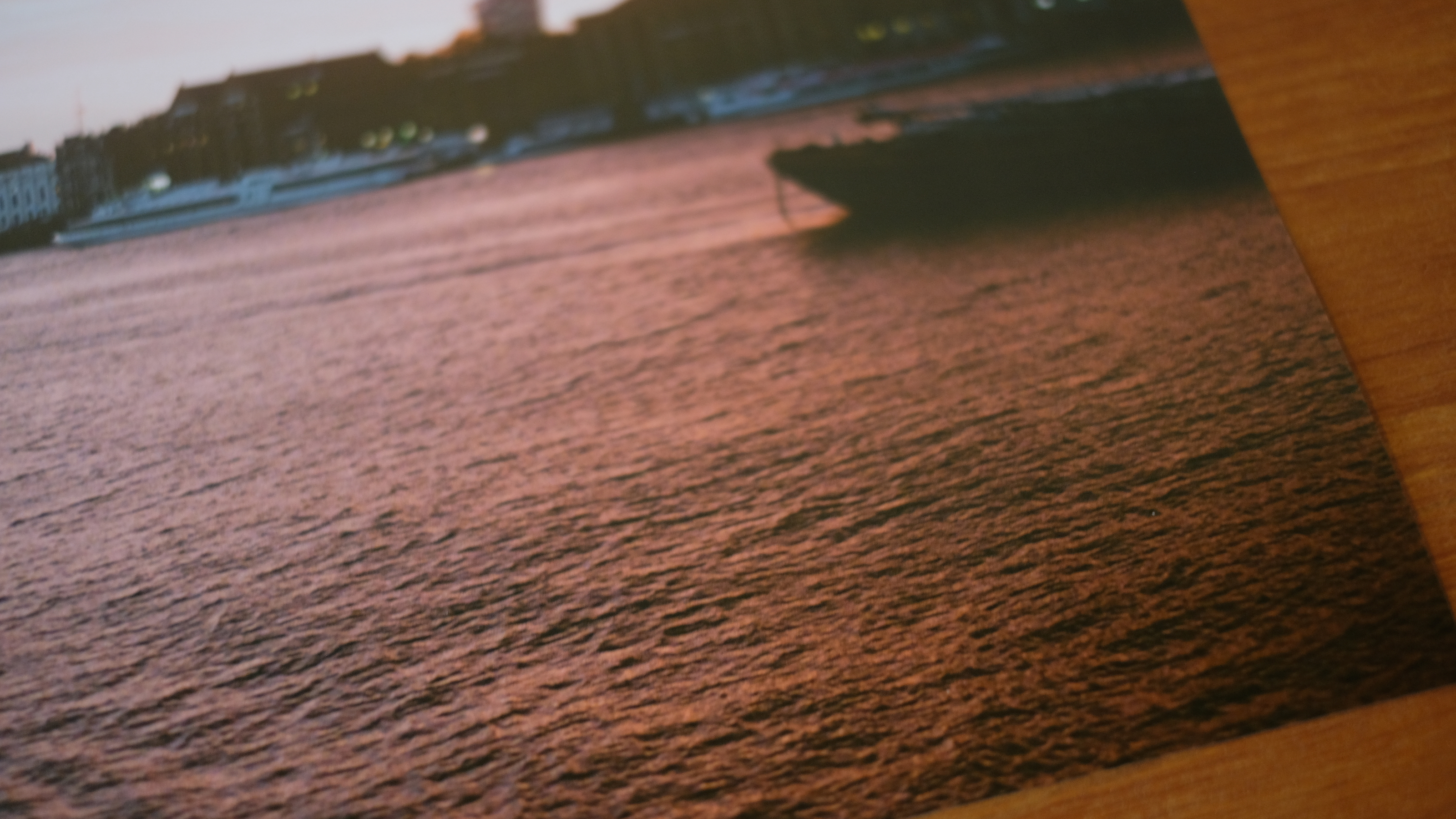 Photograph of a print from the Canon imagePROGRAF PRO-310