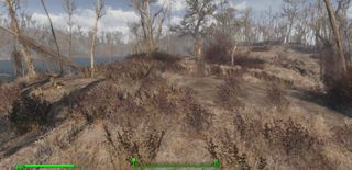 Best Fallout 4 Xbox mods: Reduced Grass Density
