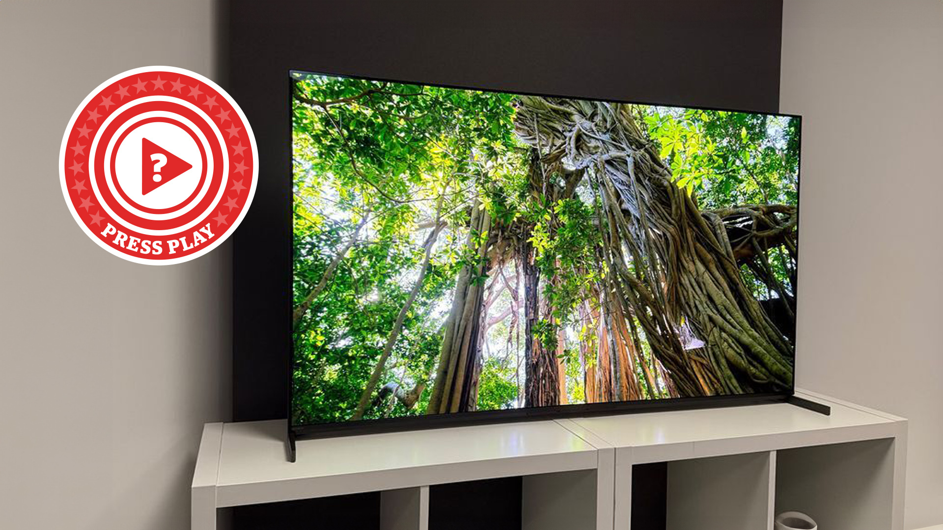 Sony Bravia 8 II on a TV stand showing a picture of a forest