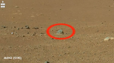 "Mars animal" spotted by one YouTube user.