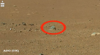 "Mars animal" spotted by one YouTube user.