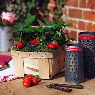 Strawberries in planter on top of wooden table