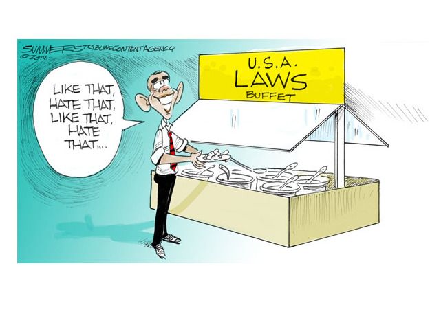 Obama cartoon executive order