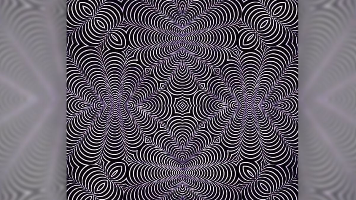 optical illusions what do you see