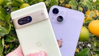 Google Pixel 7 vs iPhone 14 cameras