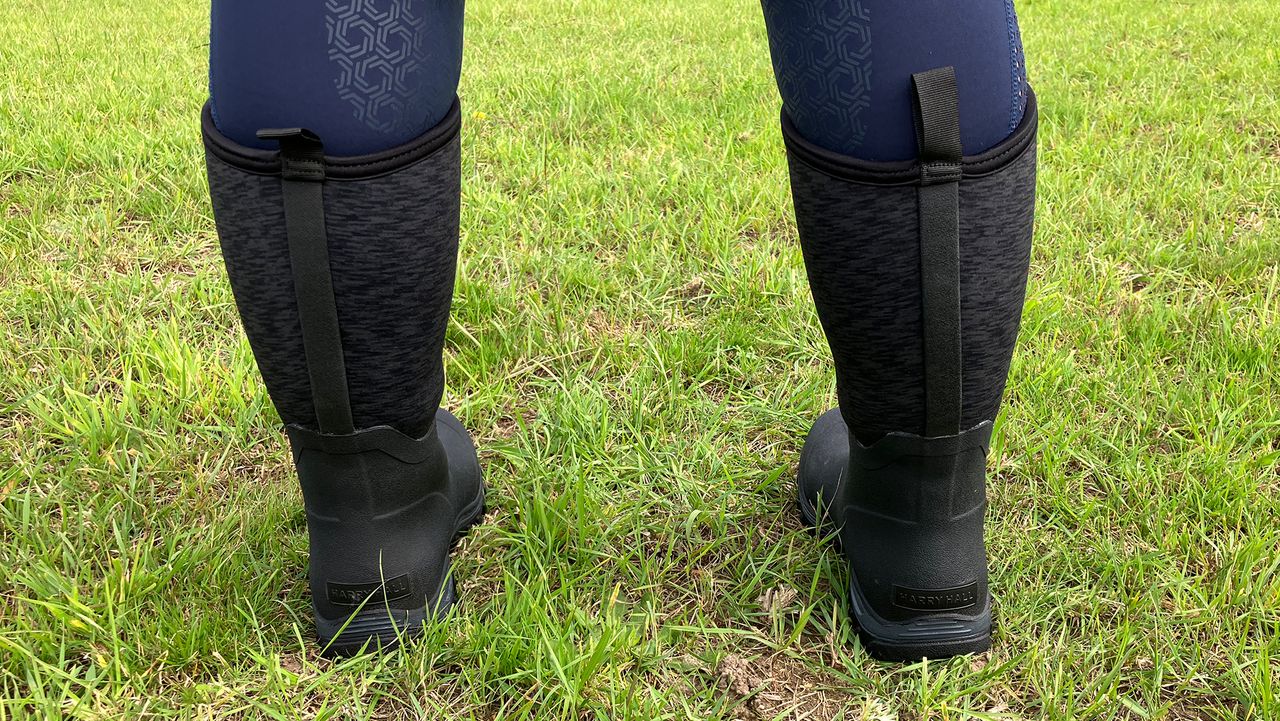 Harry Hall Mud Boots backreview