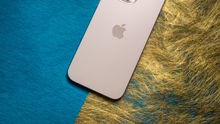 Apple iPhone 16 Pro Max back highlighting matte texture