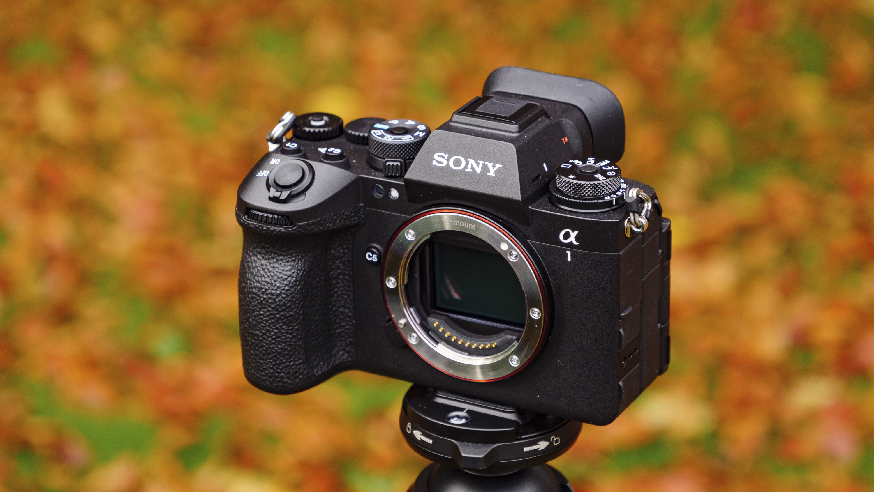 Sony A1 II mirrorless camera outdoors on a tripod with autumn leaves background