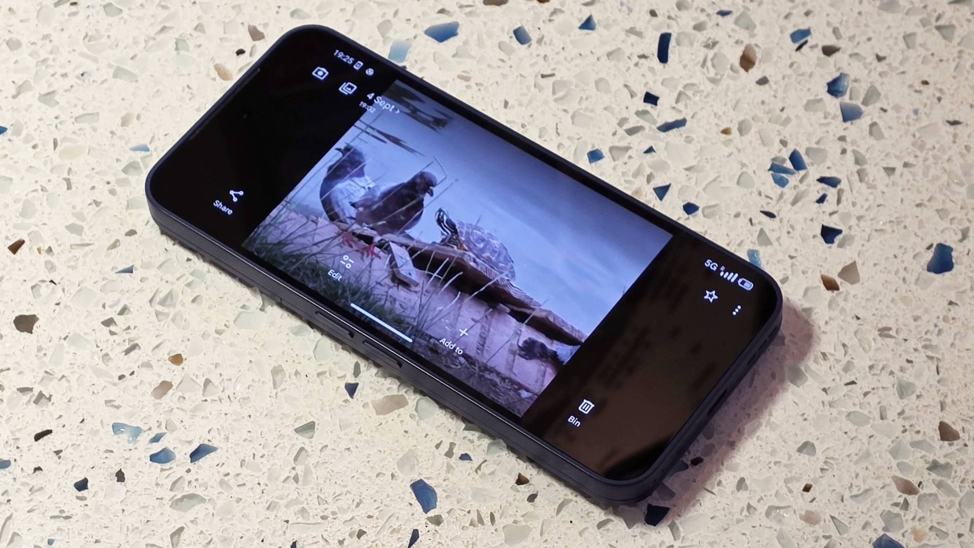 The Fairphone 6 Plus on a table, showing a photo of a turtle and some pigeons.