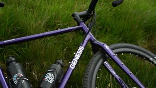 A purple Genesis Croix de Fer lying against some grass 